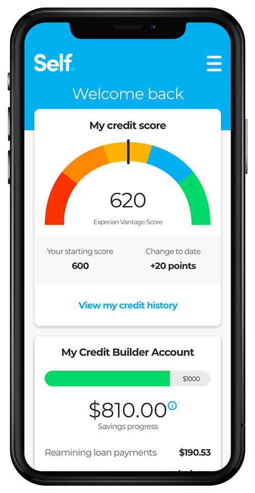 Self Lender 